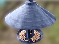 Bird feeder by trailblazingfive