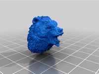 Bear Head by Lehs