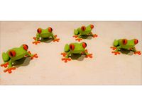 Red eyed tree frog multicolor with magnet by jw27