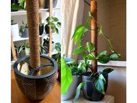Coir Pole Support by AlexanderGi