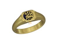 Blue Ranger Signet Ring 20mm by Pegasus3D