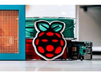 Raspberry Pi logo with multiple colors by pandronu