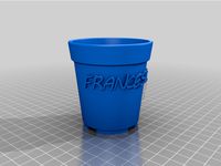 Small pot for a succulent plant named Francesca by jayjones