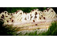 Ornament for Christmas log - HAPPY NEW YEAR 2021 by ZAK3D