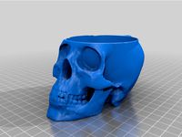Scull cup holder by uhmin