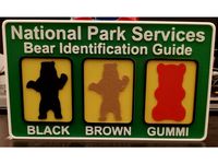 Bear Identification Sign by anonymoususer42
