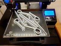 Hartmann pliers (Micro forceps) without filing by anignu
