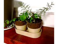 Gemini Plants Pot by Kriegsteinul