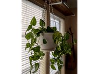 Hanging Pot by MarkJennings