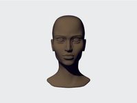 Female human head by mollymillions