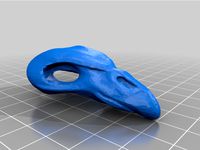 ewok bird skull cap or hat by TheElderYautja
