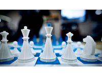 Magnetic Chess Pieces w/ Board by acwrightdesign