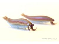 Kylinxia zhangi by thorstenbrand