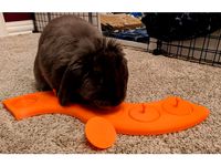 Bunny/Small Animal Puzzle Treat Plate by jpuhl777