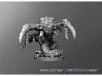 Tsucora quori by schlossbauer