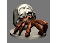 Hermit Crab in Skull by animalmachine