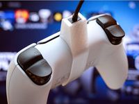 Sony PlayStation 5 DualSense USB Cable Guard by creamywhite
