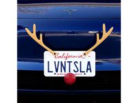 License Plate Reindeer Kit by LIVINGTESLA