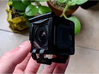 Dragon Frog 3 Session5 Mount - RSGO by Flowr