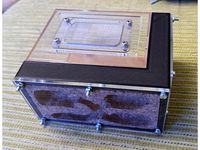 FORMICARIUM HORMIGUERO ANT FARM by Nineu78