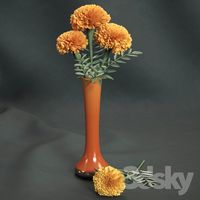 Marigolds
