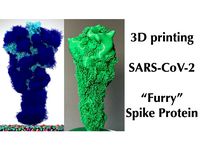 SARS-CoV-2 Coronavirus "Furry" Spike Protein by vsaggiomo