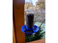 Jar bird feeder by Klnjulien