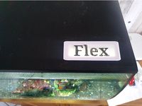 fluval flex 35l cover by Holloway82