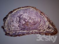 Sonya Rugs / Tree Trunk