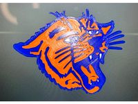 Rochester School for the Deaf Wildcats (LOGO) by caggas2