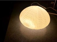 Sea Urchin Night Light by kpix