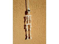 Skeleton by Sergi2700