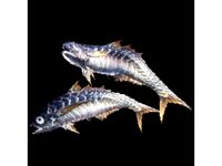 MHW Dual Blades - Whetfish Sabres by Z3brim2011