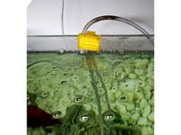 Fish Tank Hose Holder by Hotwire