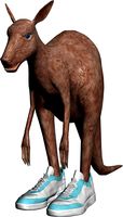 model Kangaroo