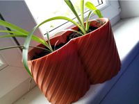 Double Chamber Pot by Shmosi