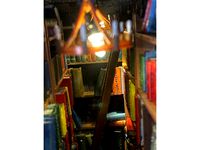 Miniature Library Book Ladder by fuchsr
