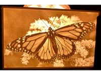 Butterfly Lithopane by Corwynn