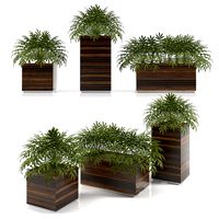 PLNTERBOX 2