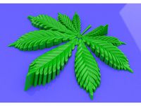 cannabis leaf by shtangli