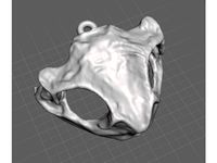 Frog Skull Earrings by flemingrachelc