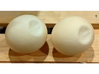 Sea Turtle Egg by fueledbyboredom