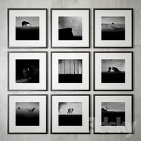 Watercolor paintings