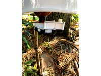 Duck feeder by Dmytry