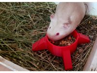Guinea Pig Feeder - Comedero de Cobaya by Pony3DMaker