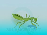 3D Model Praying Mantis