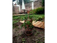 Tomato+Cage+[Stackable]-V2.5 by nebadom