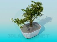 3D Model Decorative mini tree
