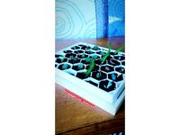 Drip catcher for hexagonal propagation tray by APdesigncollective