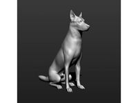 German shepherd dog by Amforma
